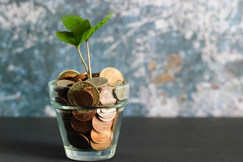 A young plant growing from a glass of coins